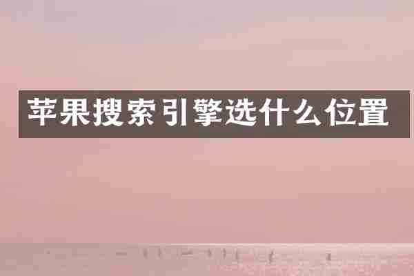 苹果搜索引擎选什么位置