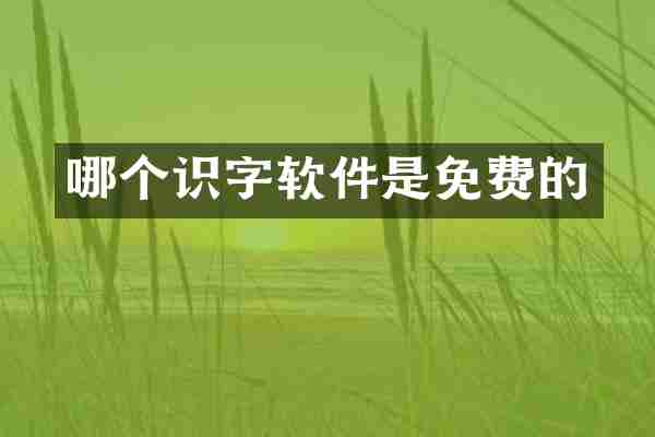 哪个识字软件是免费的