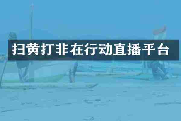 扫黄打非在行动直播平台