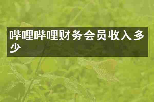 哔哩哔哩财务会员收入多少