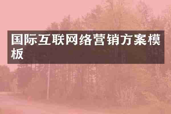 国际互联网络营销方案模板
