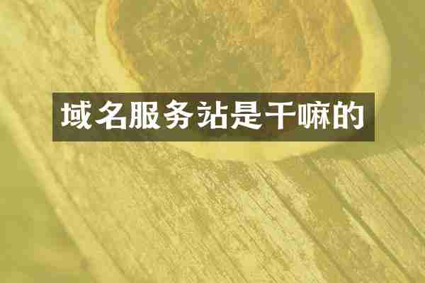 域名服务站是干嘛的