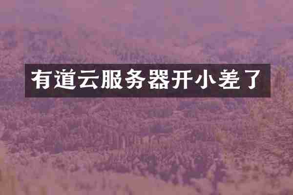 有道云服务器开小差了