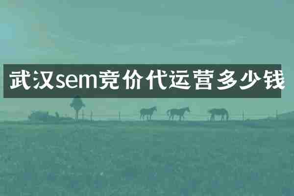 武汉sem竞价代运营多少钱
