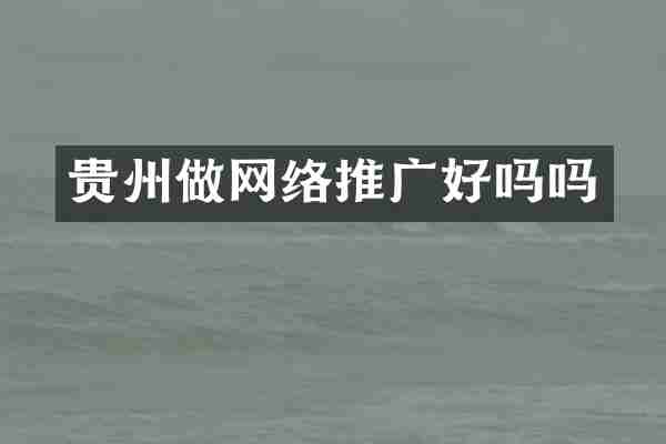 贵州做网络推广好吗吗