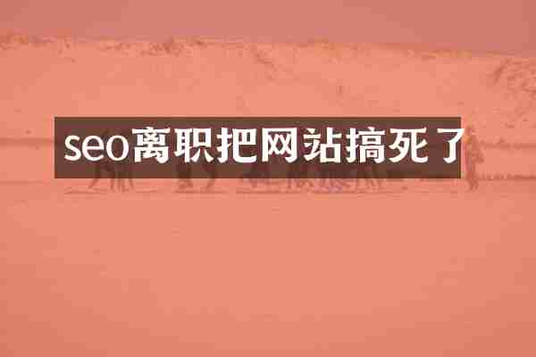 seo离职把网站搞死了