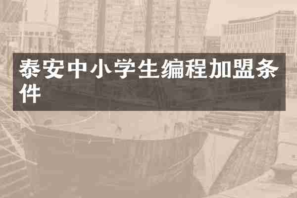 泰安中小学生编程加盟条件