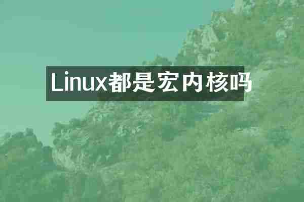 Linux都是宏内核吗
