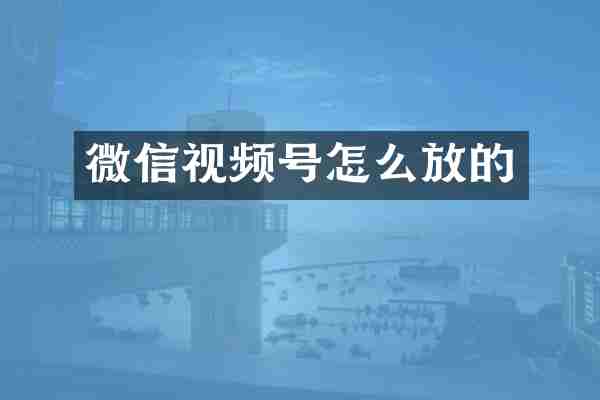 微信视频号怎么放的
