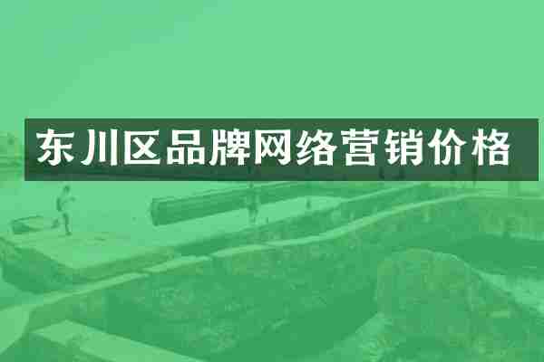 东川区品牌网络营销价格