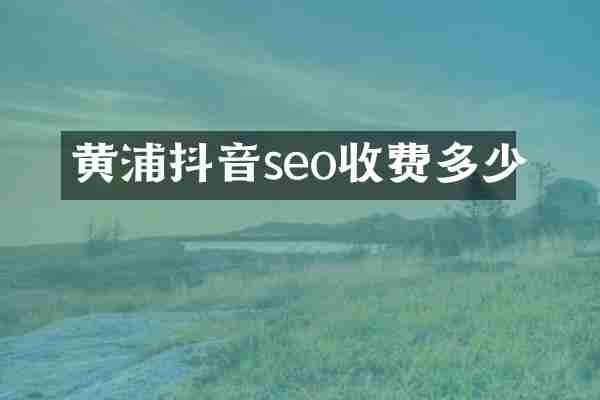 黄浦抖音seo收费多少