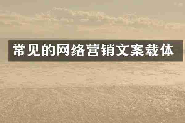 常见的网络营销文案载体
