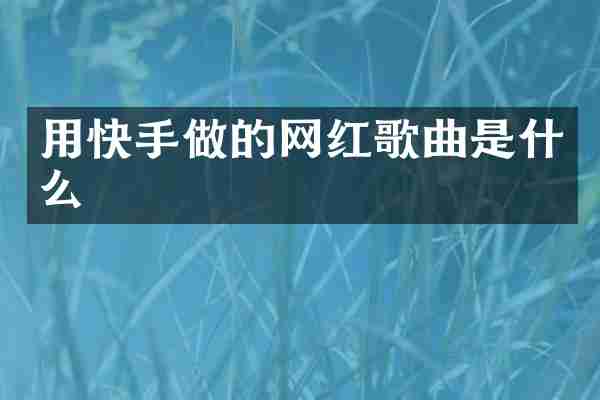 用快手做的网红歌曲是什么