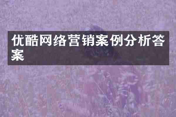 优酷网络营销案例分析答案