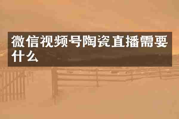 微信视频号陶瓷直播需要什么