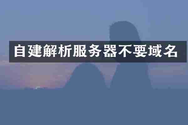 自建解析服务器不要域名