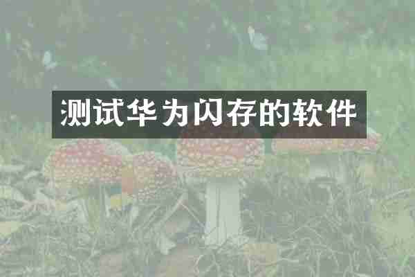 测试华为闪存的软件