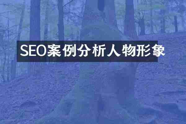 SEO案例分析人物形象