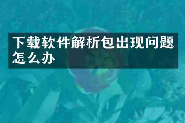下载软件解析包出现问题怎么办