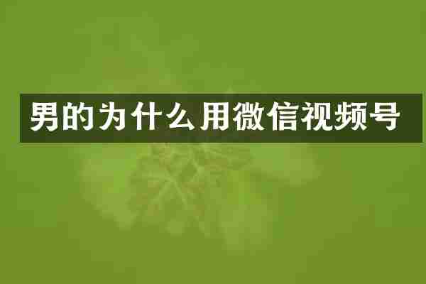 男的为什么用微信视频号