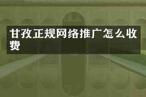 甘孜正规网络推广怎么收费