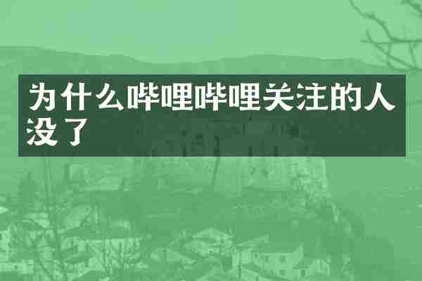 为什么哔哩哔哩关注的人没了