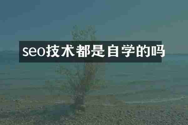 seo技术都是自学的吗
