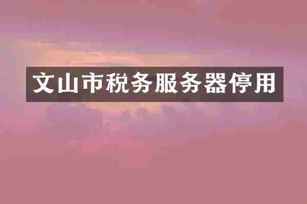 文山市税务服务器停用