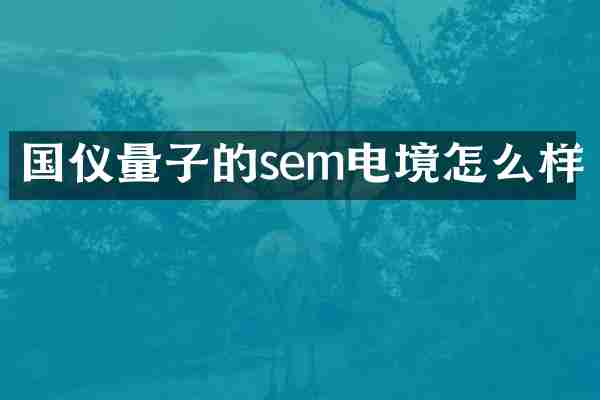 国仪量子的sem电境怎么样