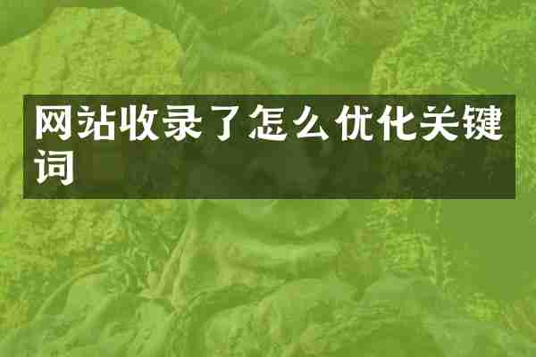 网站收录了怎么优化关键词