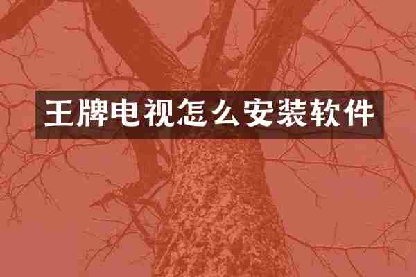 王牌电视怎么安装软件