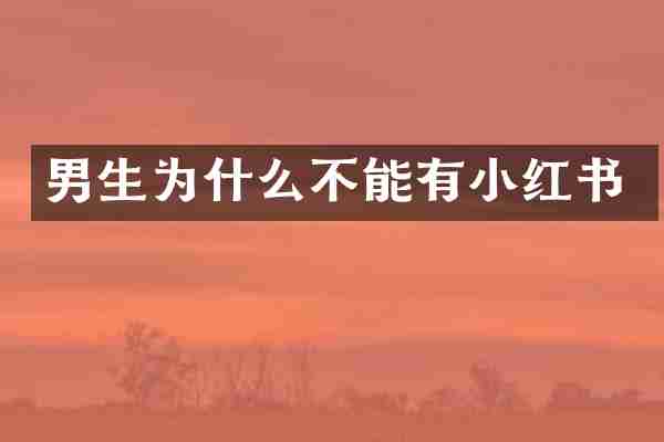 男生为什么不能有小红书