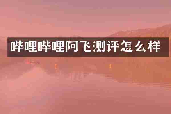 哔哩哔哩阿飞测评怎么样