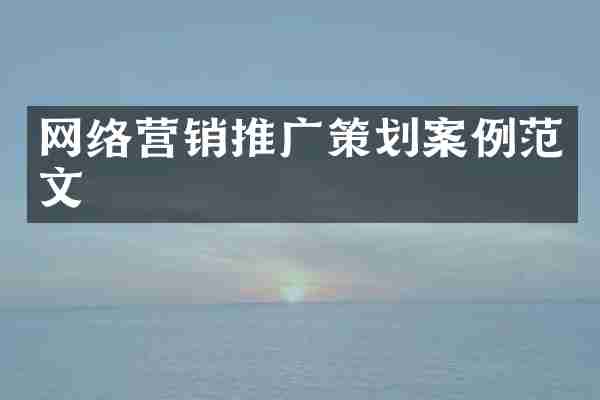 网络营销推广策划案例范文