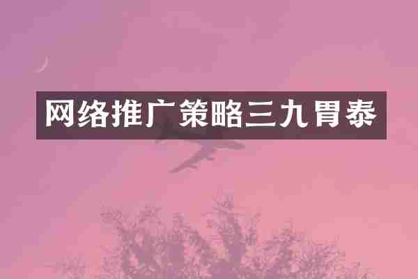 网络推广策略三九胃泰
