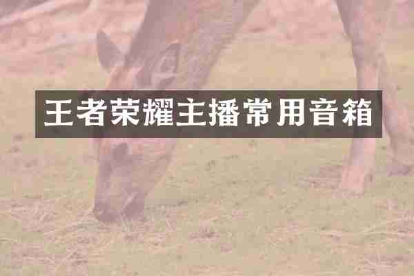 王者荣耀主播常用音箱