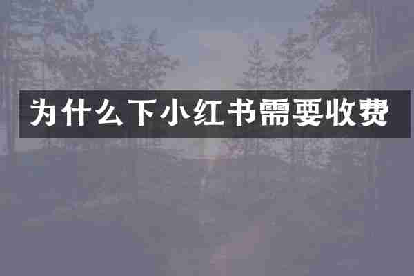 为什么下小红书需要收费