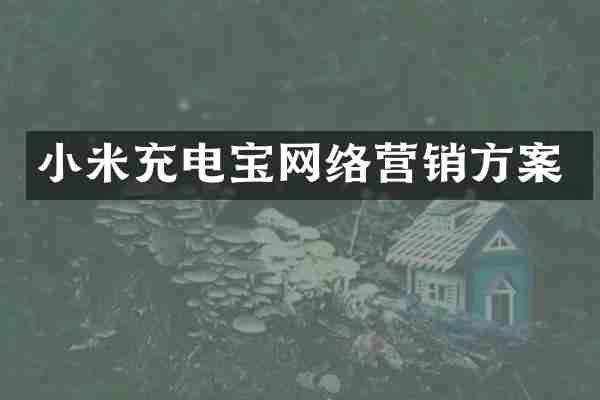 小米充电宝网络营销方案