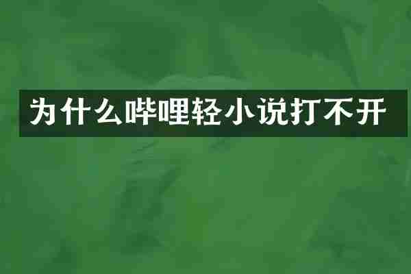 为什么哔哩轻小说打不开
