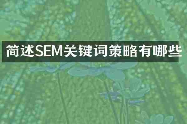 简述SEM关键词策略有哪些