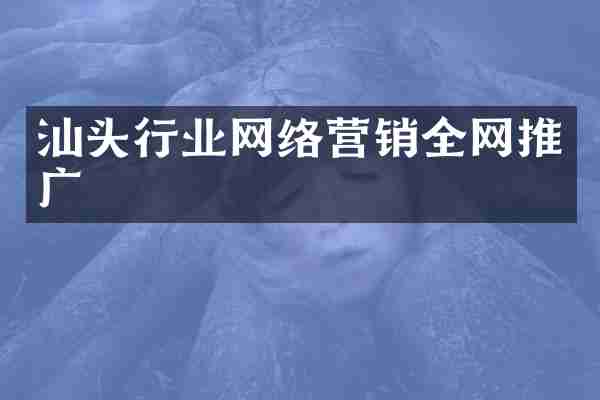 汕头行业网络营销全网推广