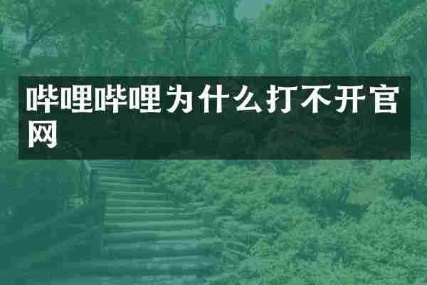 哔哩哔哩为什么打不开官网