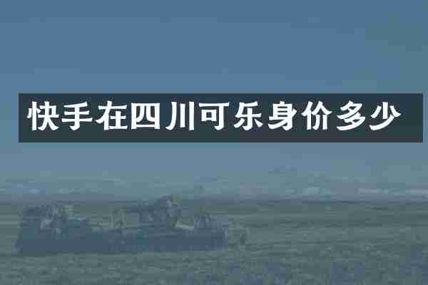 快手在四川可乐身价多少