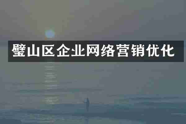 璧山区企业网络营销优化
