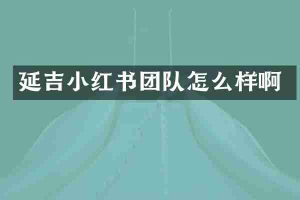 延吉小红书团队怎么样啊