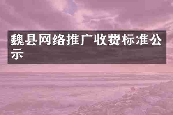 魏县网络推广收费标准公示