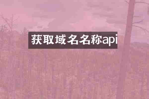 获取域名名称api