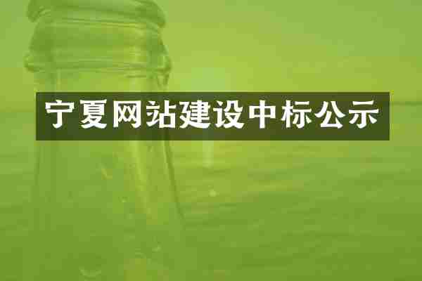 宁夏网站建设中标公示