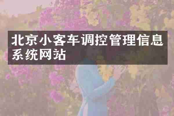 北京小客车调控管理信息系统网站