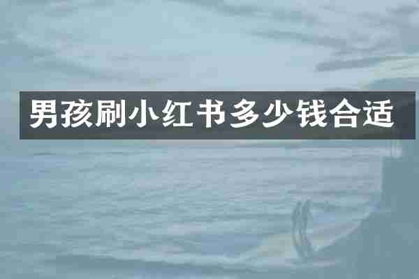 男孩刷小红书多少钱合适